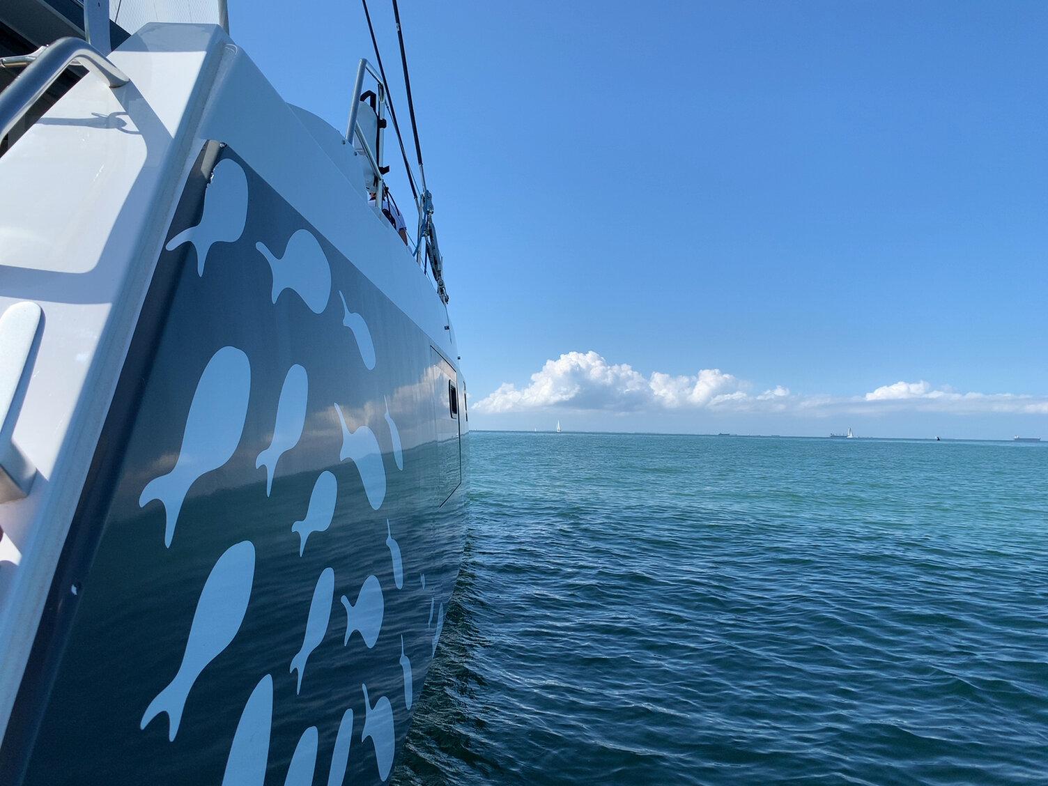 Silver fish covering coque 