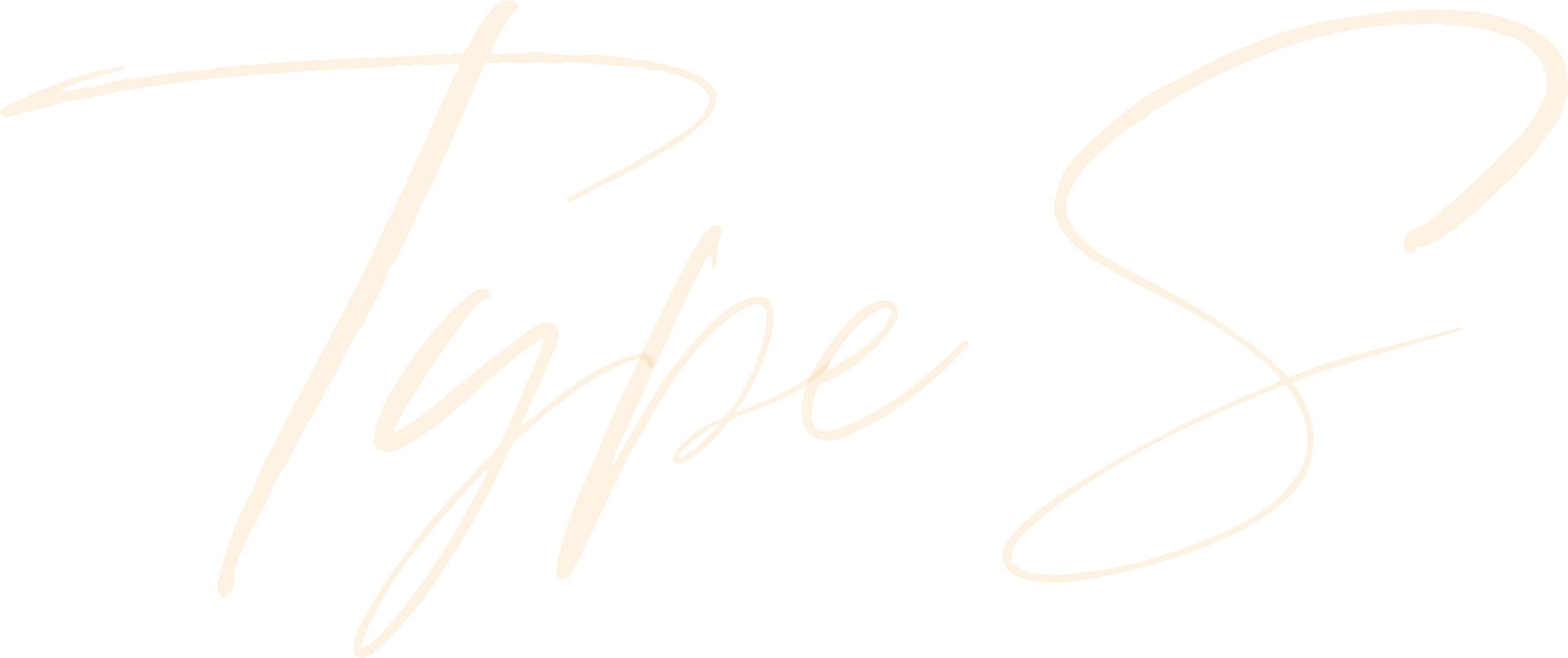 signature 41 type S